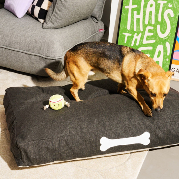Doggielounge Olefin Dog Bed (Large)