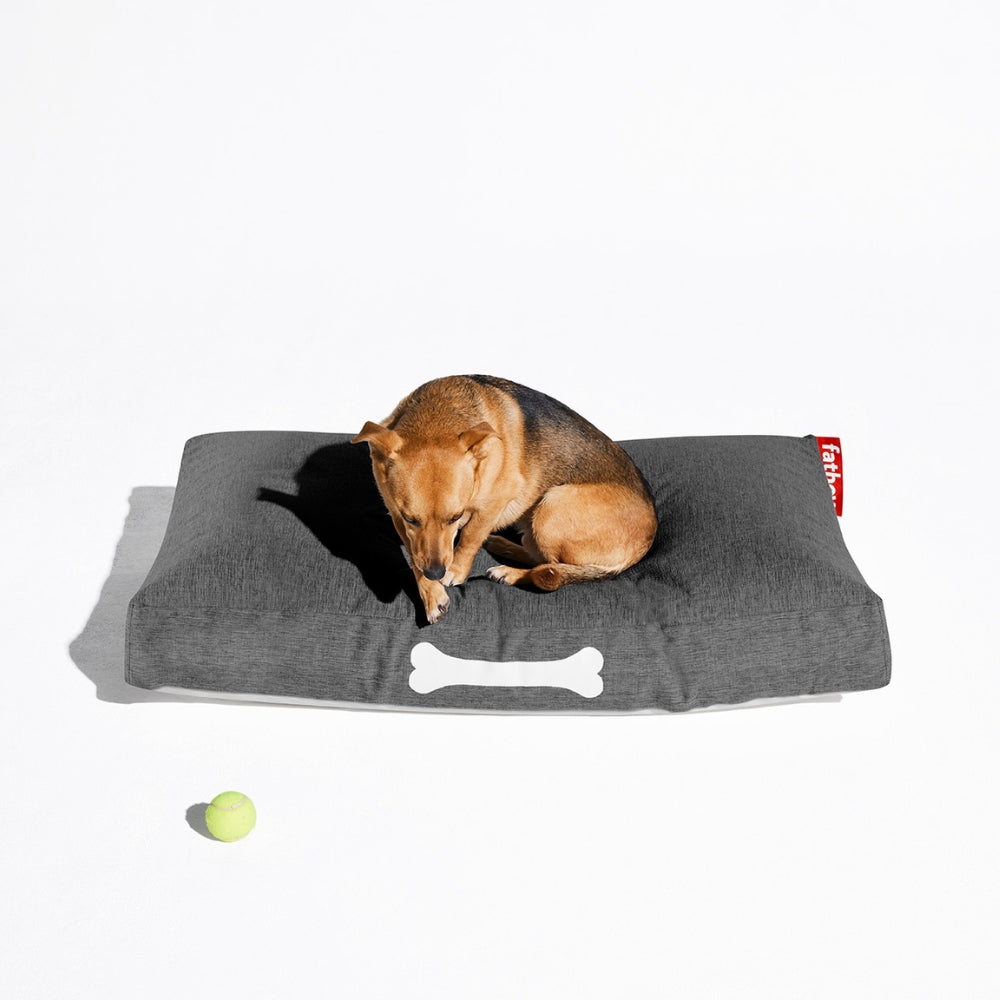 Doggielounge Olefin Dog Bed (Large)