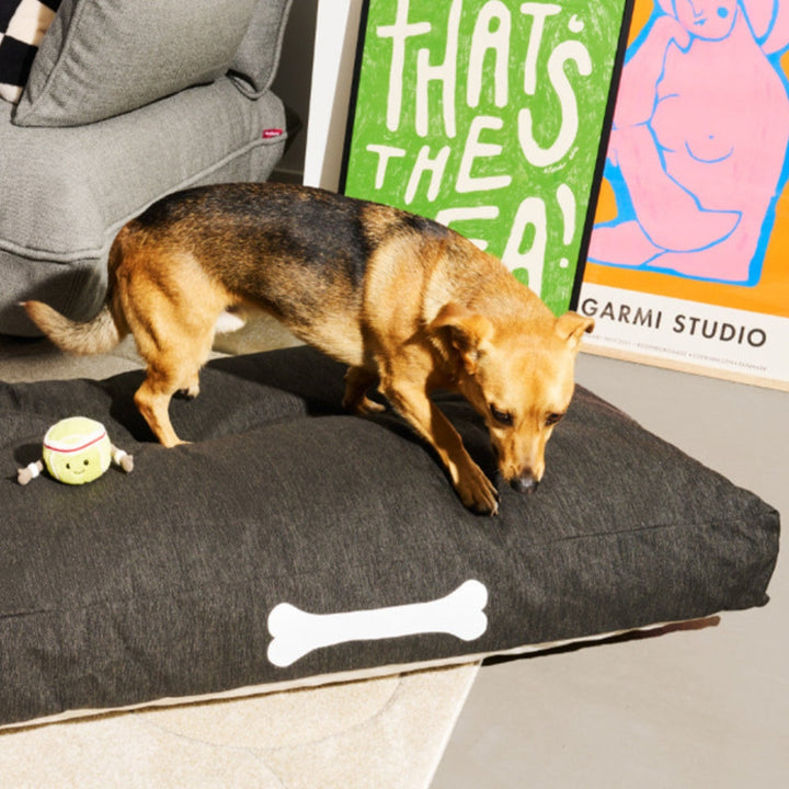 Doggie Lounge Olefin (Small)
