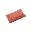 Rhubarb