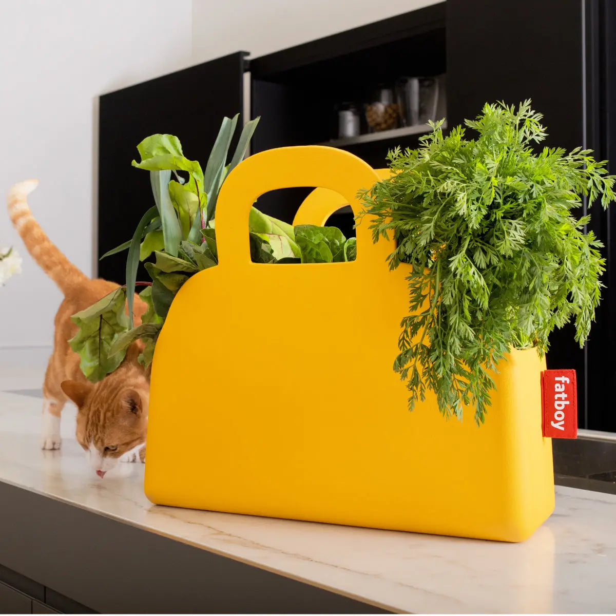 Fatboy Sjopper-kees carrier tote / shopper bag - fatboy-ae.myshopify.com