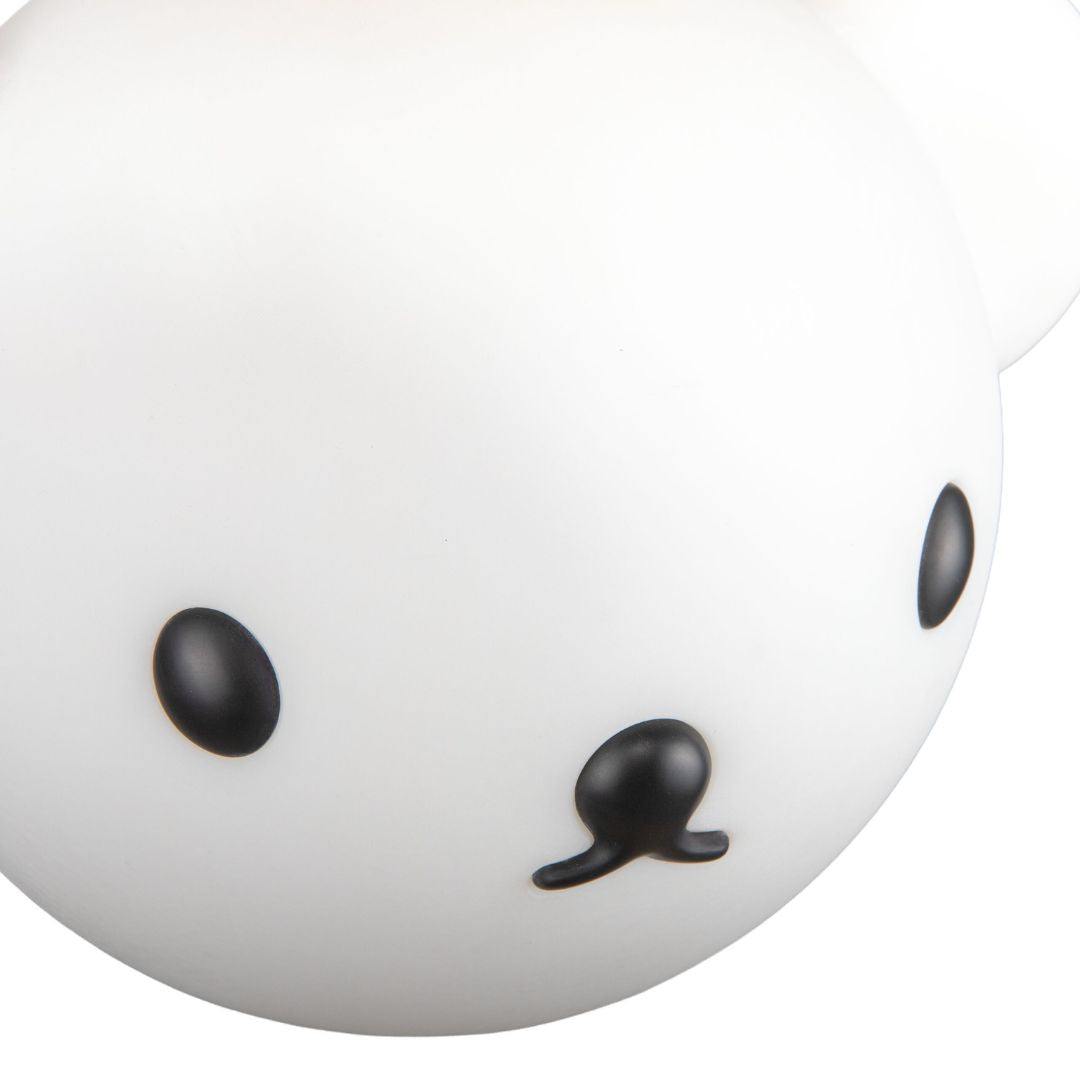 Bolleke Hanging Light (Rechargeable) x Boris