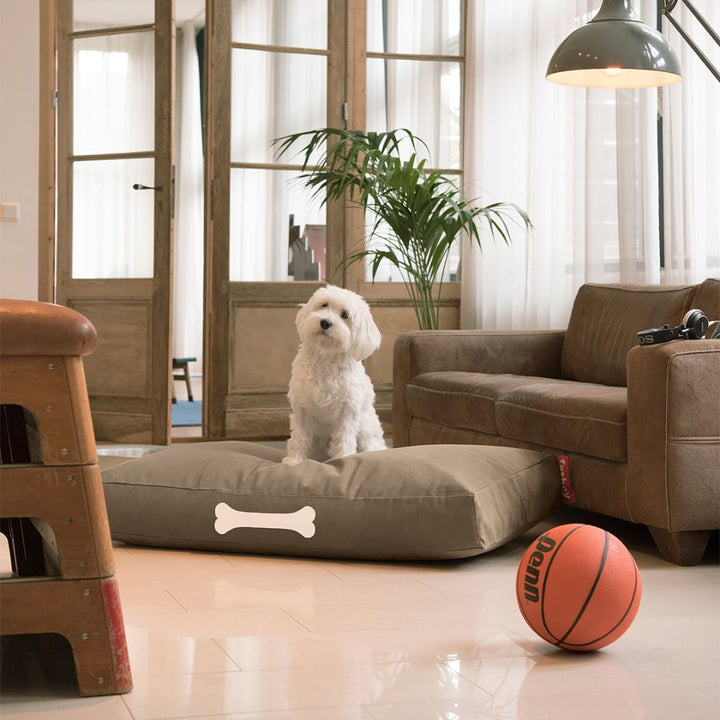 Doggielounge Soft Canvas Dog Bed (Large)