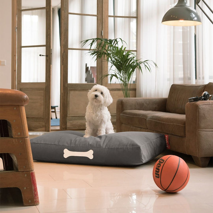 Doggielounge Soft Canvas Dog Bed (Large)