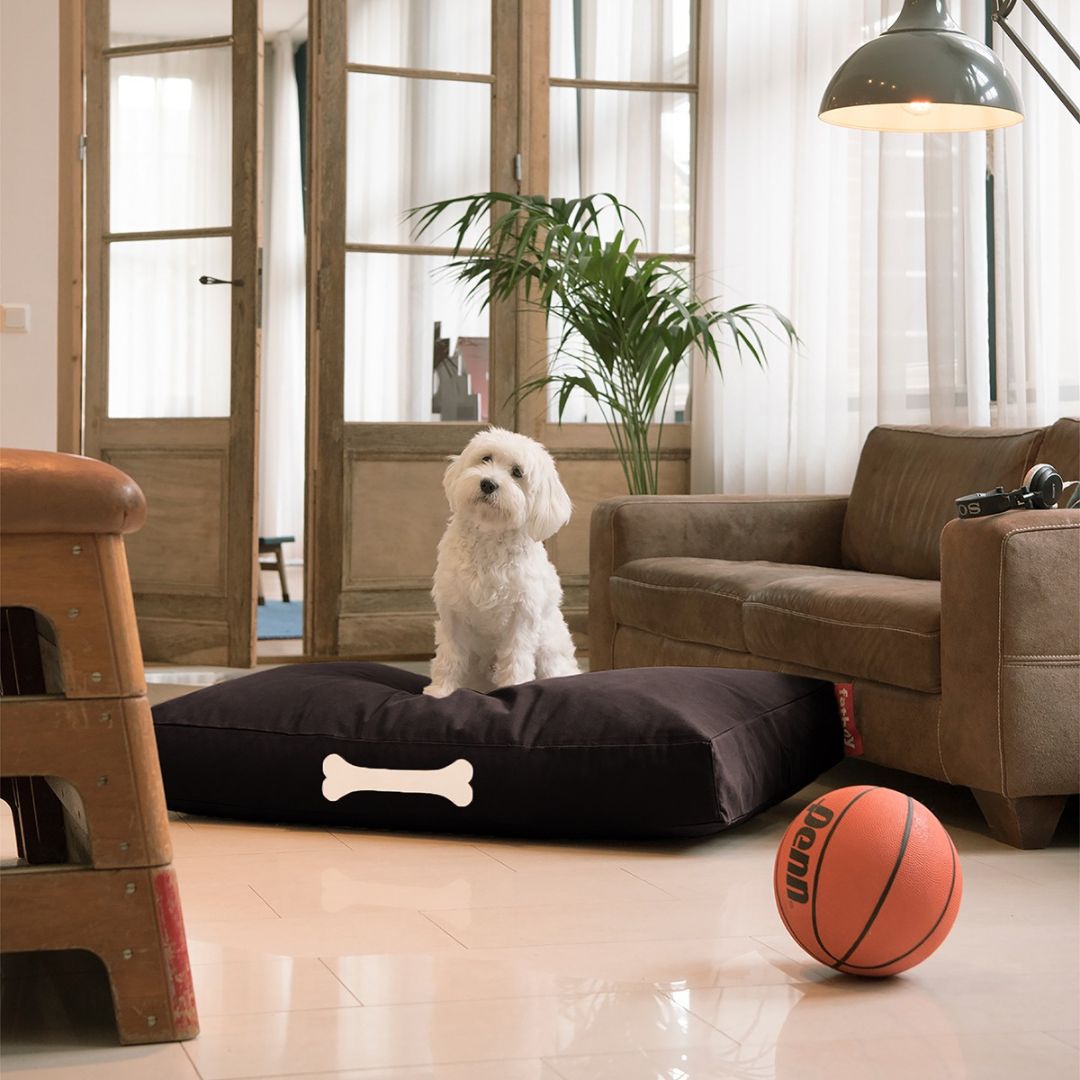 Doggielounge Soft Canvas Dog Bed (Large)