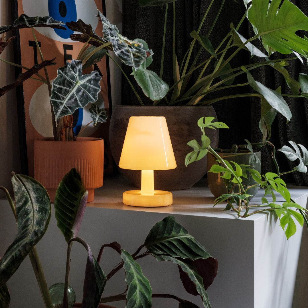 Edison the Ambiance Table Lamp (Rechargeable)