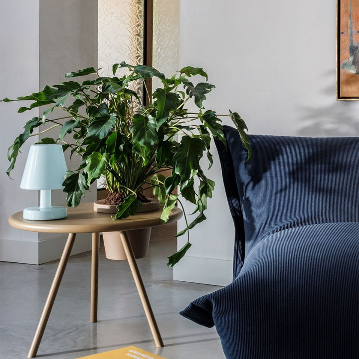 Edison the Ambiance Table Lamp (Rechargeable)
